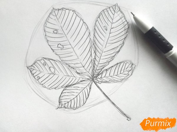 Лист каштана карандашом
