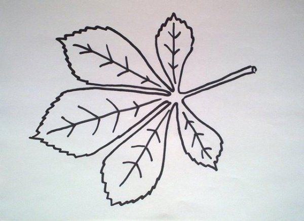 Лист каштана трафарет