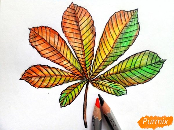 Лист каштана карандашом