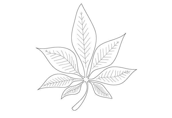 Лист каштана раскраска