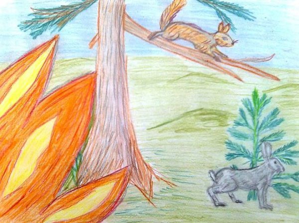 Горящий лес карандашом