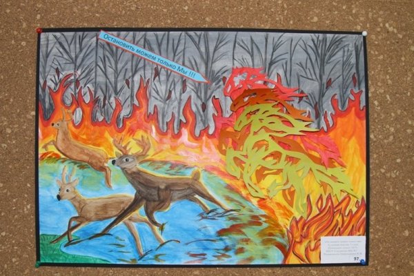 Раскраска пожар в лесу для детей