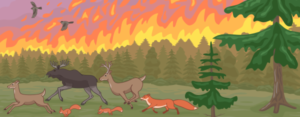 Рисунок на тему пожар