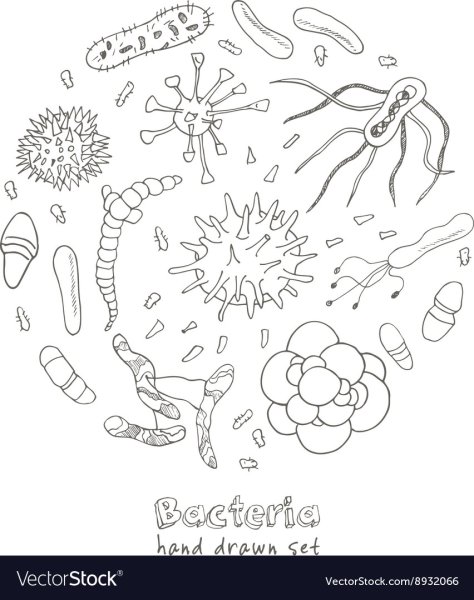 Бактерии раскраска