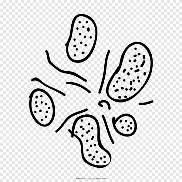 Трафарет бактерии