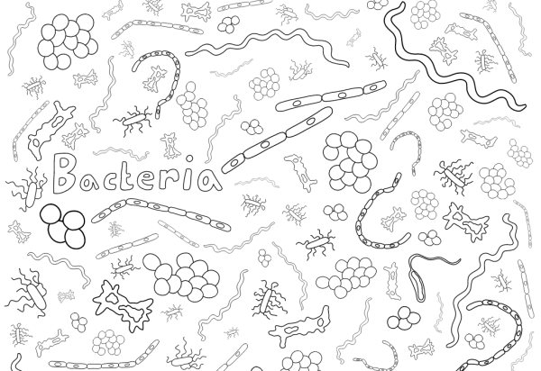 Бактерии для разукрашивания