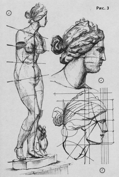 Венера Милосская карандашом портрет