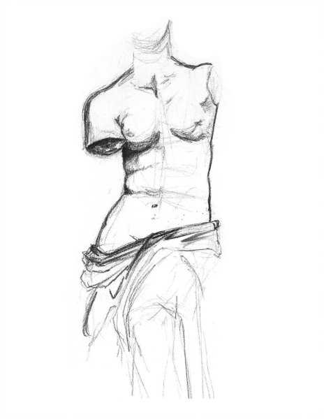 Венера Милосская конструктивный рисунок