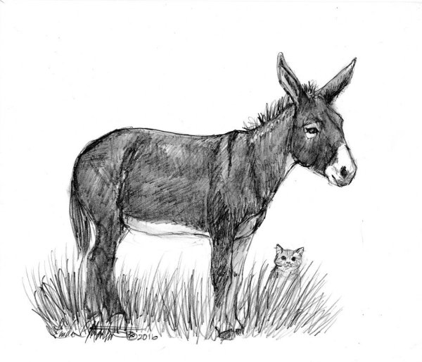 Ослик пошаговое рисование для детей