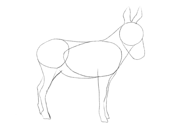 Осел карандашом