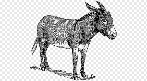 Техника рисования животных для детей