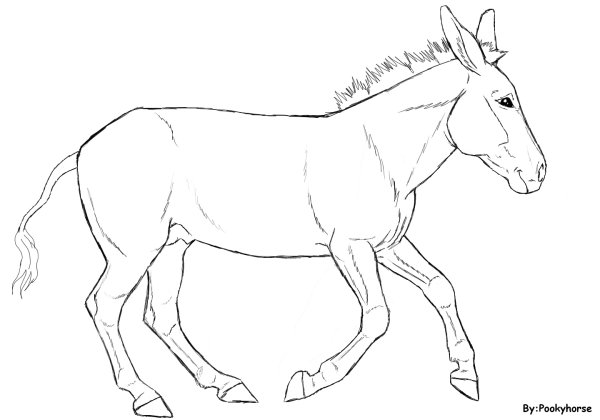 Контур ослика для детей