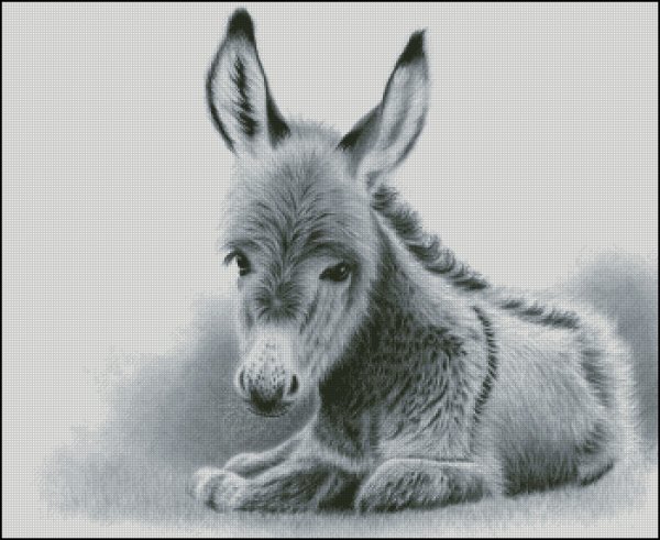 Ослик эскиз