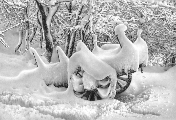 Доленджашвили Гурам Николаевич художник