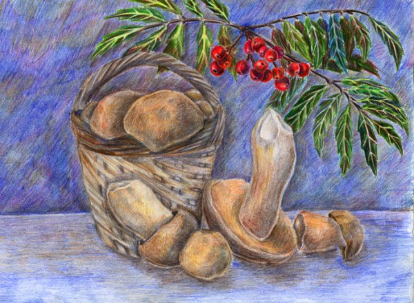 Осенний натюрморт карандашом