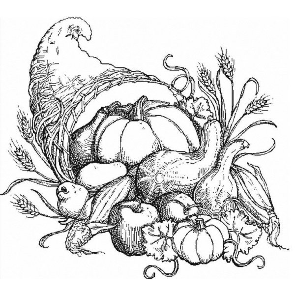 Осенний натюрморт карандашом