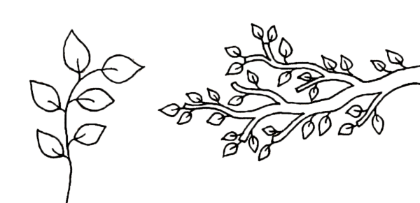 Ветка дерева раскраска для детей