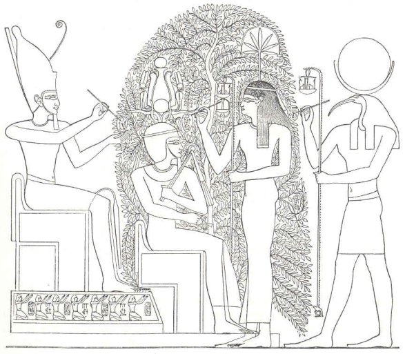 Жизнь в древнем Египте Адольф Эрман