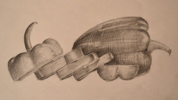 Перец штриховка