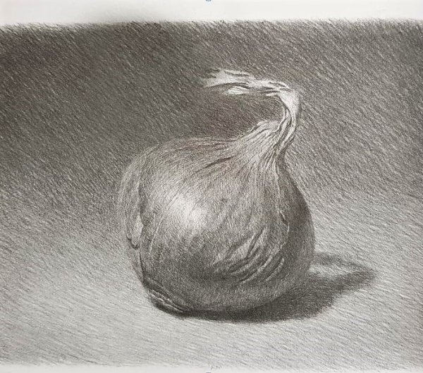 Луковица карандашом