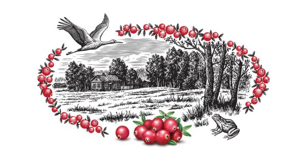 Клюква рисунок