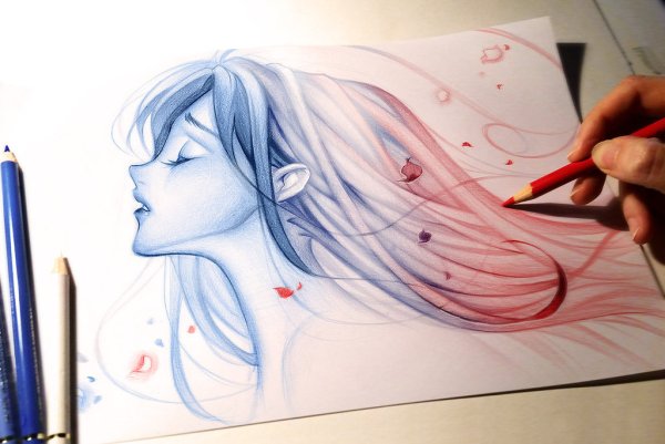 Иллюстрации Nina Stajner