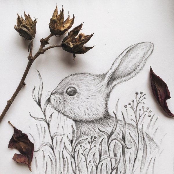 Художник Pierre Yves Riveau