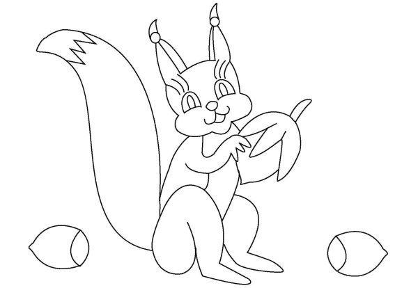 Белочка рисунок раскраска