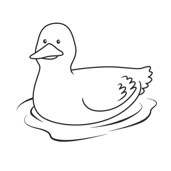 Утка карандашом