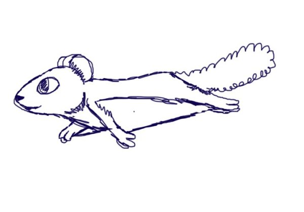 Белка летяга