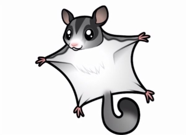 Летяга раскраска