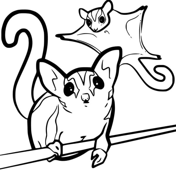 Летяга раскраска