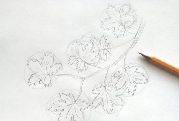 Листья цветными карандашами