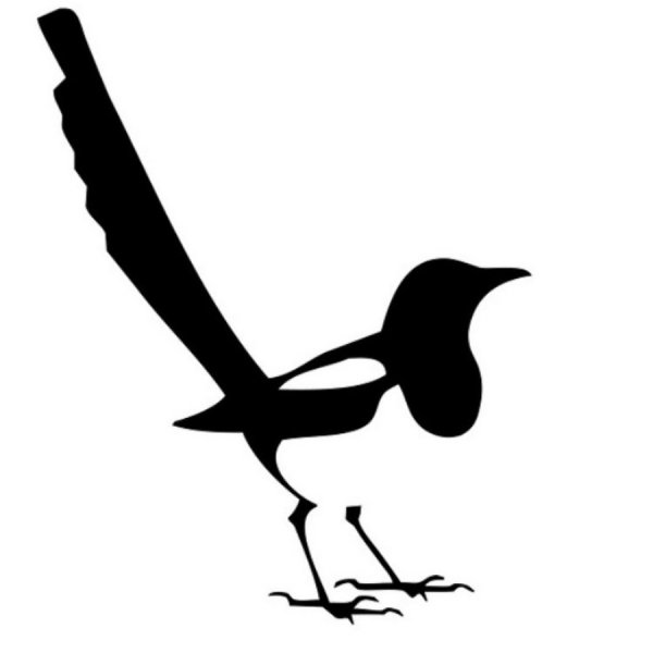 Как нарисовать сороку карандашом