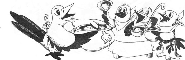 Сорока в графике