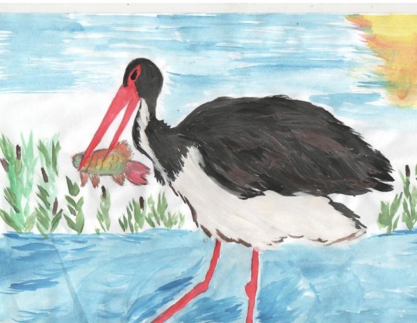 Черный Аист Башкортостан