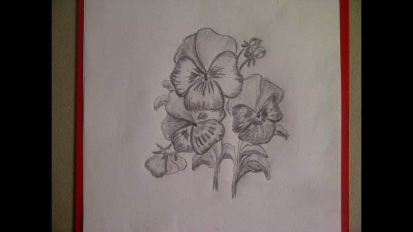 Фиалка тату эскиз