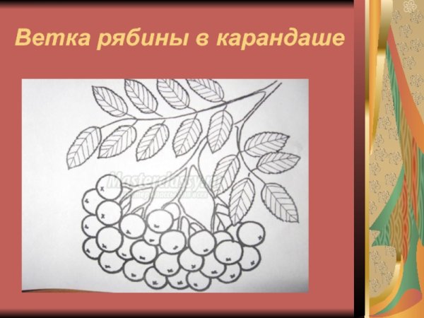 Дорисовать ягоды рябины