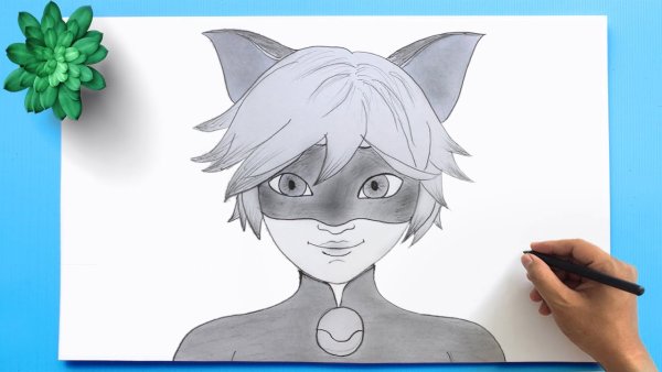 Супер кот карандашом рисунок в цвете