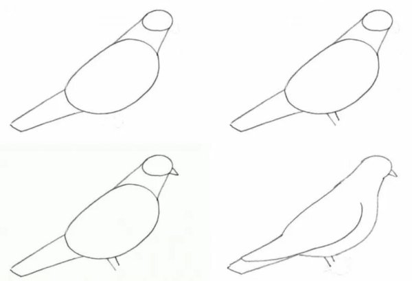Рисование птиц для детей