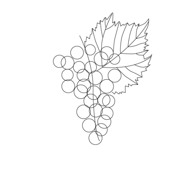 Ветка виноград контур