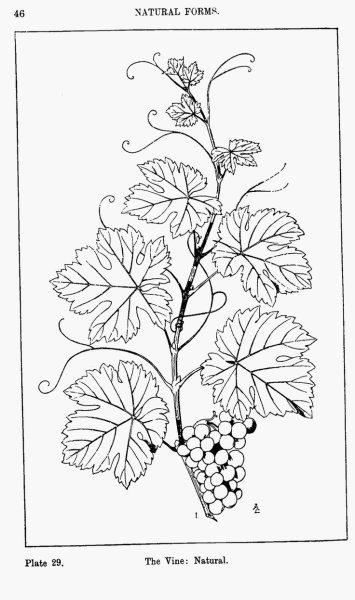 Резьба по дереву эскизы