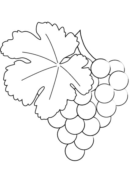 Виноградная лоза DXF