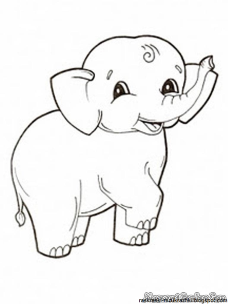 Раскраски для самых маленьких