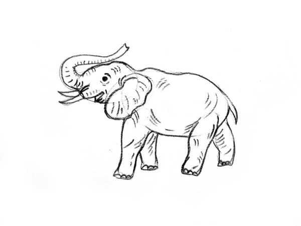 Рисунок слона циркулем