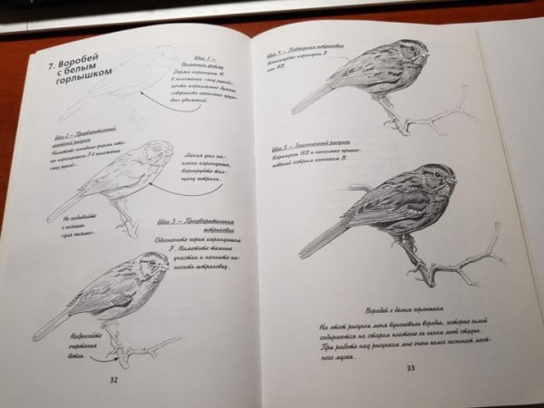 Книги по рисованию карандашом
