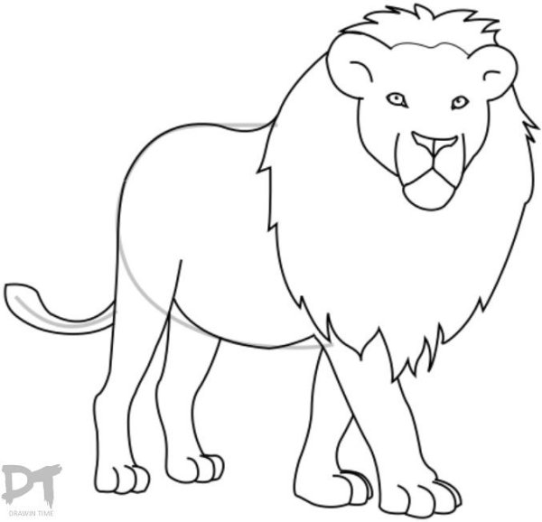 Лев карандашом для детей