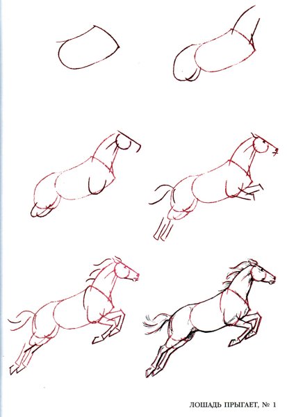 Лошадь сбоку схематичнморда поэтппго