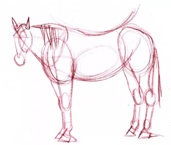 Рисование лошади