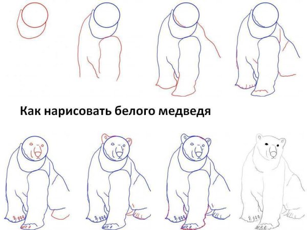 Шаблон белого медвежонка